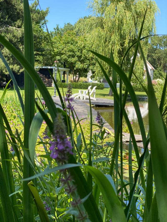 Nature 4-persoons Bed & Breakfast *
